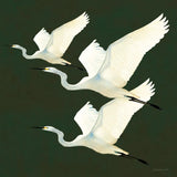 Egrets Alighting II on Green by Kathrine Lovell. SKU 86426a. Archival Giclee Fine art print for wall decor.