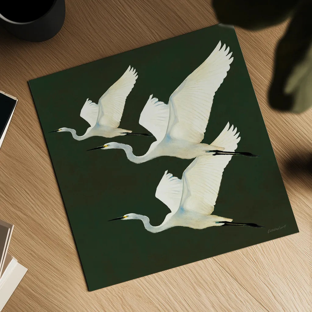 Egrets Alighting II on Green by Kathrine Lovell. Shown as a detailed flat fine art print, highlighting archival giclee quality. Available as an archival giclee rolled canvas, fine art paper, or poster print. SKU 86428a.