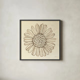 Farmhouse Sunflower by Kathrine Lovell. Shown in a sleek black glass frame for a contemporary gallery look. Available as an archival giclee rolled canvas, fine art paper, or poster print. SKU 71620a.
