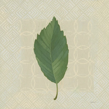 Forest Leaves III no Lines by Kathrine Lovell. SKU 33733a. Archival Giclee Fine art print for wall decor.