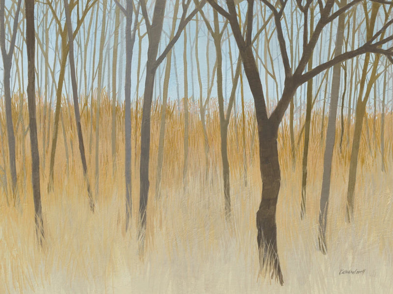 Misty Woods Crop by Kathrine Lovell