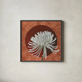 Morning Chrysanthemum III by Kathrine Lovell. Shown in a sleek black glass frame for a contemporary gallery look. Available as an archival giclee rolled canvas, fine art paper, or poster print. SKU 28130a.