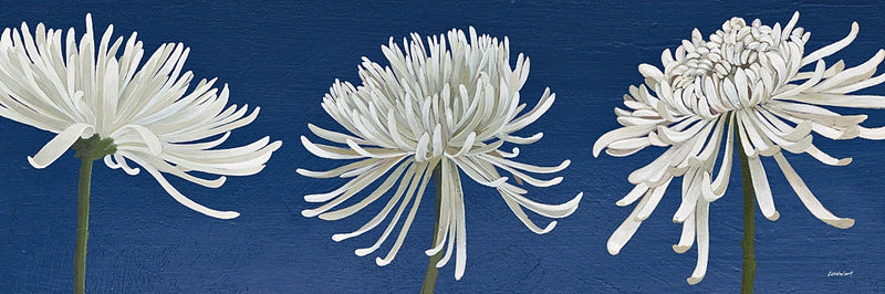Morning Chrysanthemums V Indigo by Kathrine Lovell
