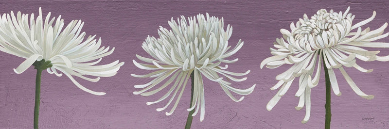 Morning Chrysanthemums V Lavender by Kathrine Lovell