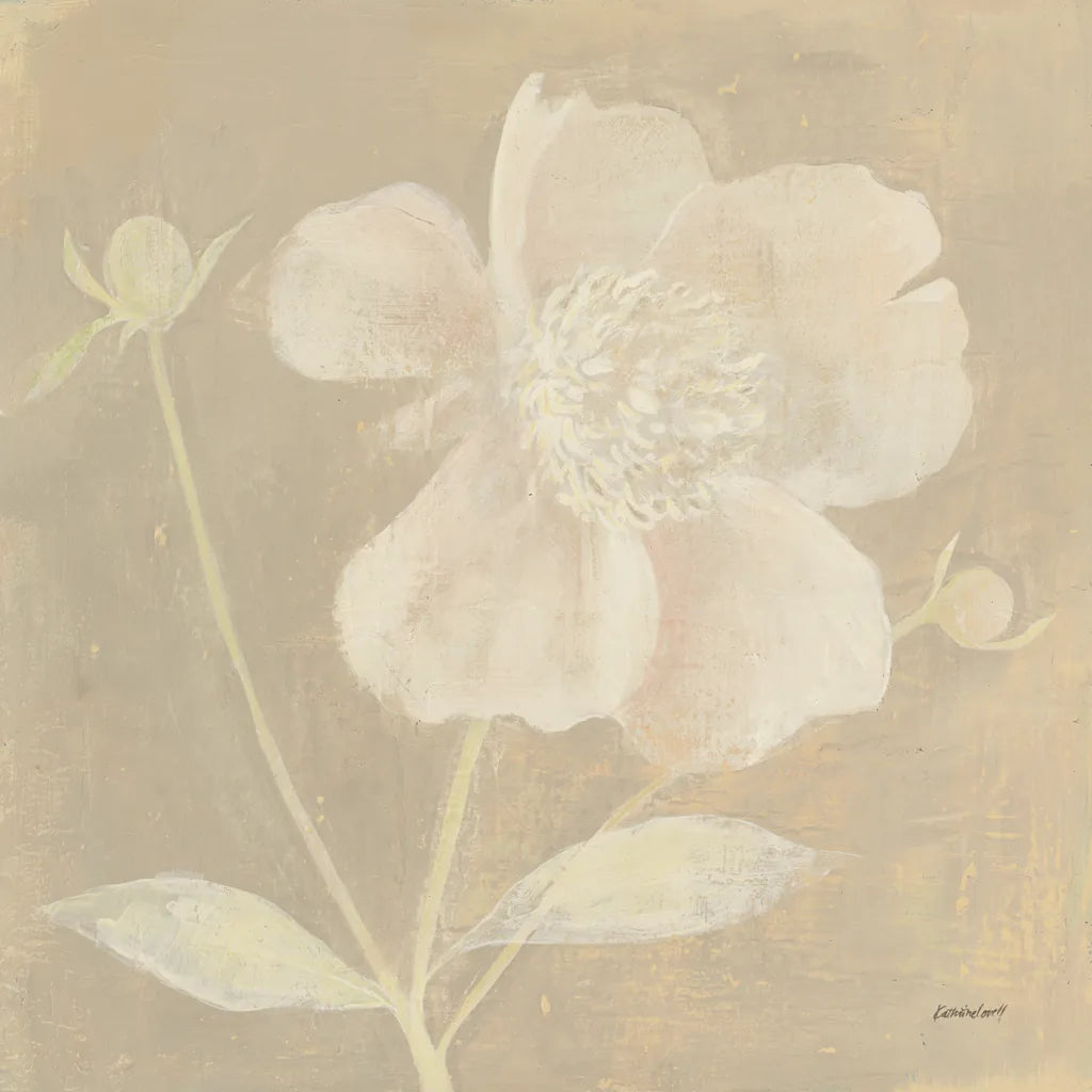 Neutral Peony by Kathrine Lovell. SKU 34981a. Archival Giclee Fine art print for wall decor.