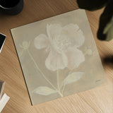 Neutral Peony by Kathrine Lovell. Shown as a detailed flat fine art print, highlighting archival giclee quality. Available as an archival giclee rolled canvas, fine art paper, or poster print. SKU 34981a.