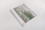 Nonquit Pond in May by Kathrine Lovell. shown as a rolled paper print. Available as archival giclee rolled canvas, fine art paper, or poster print. SKU 58645i.