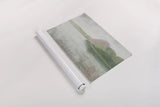 Nonquit Pond in May v2 by Kathrine Lovell. shown as a rolled paper print. Available as archival giclee rolled canvas, fine art paper, or poster print. SKU 60040i.