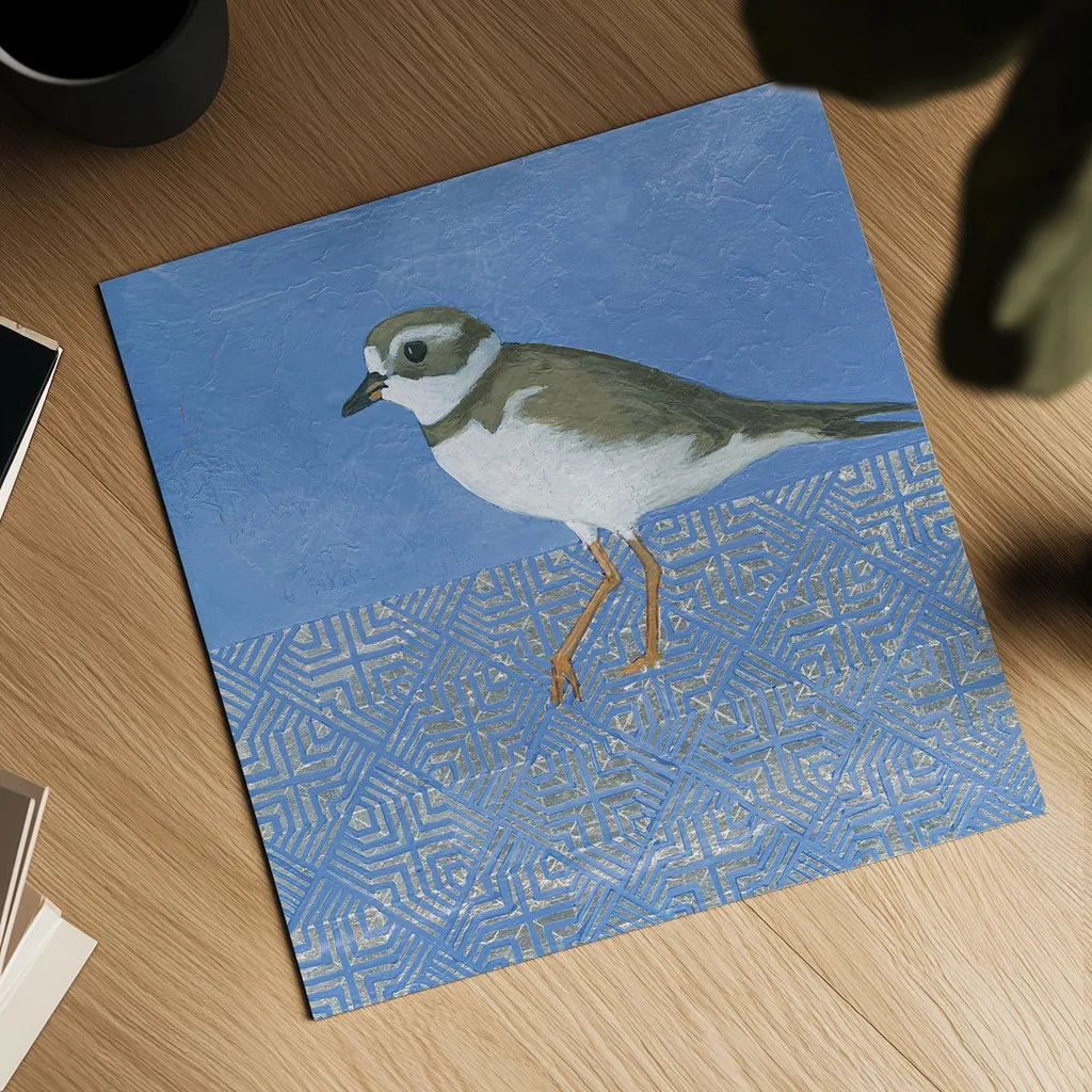 Plover by Kathrine Lovell. Shown as a detailed flat fine art print, highlighting archival giclee quality. Available as an archival giclee rolled canvas, fine art paper, or poster print. SKU 28683a.