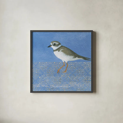 Plover by Kathrine Lovell. Shown in a sleek black glass frame for a contemporary gallery look. Available as an archival giclee rolled canvas, fine art paper, or poster print. SKU 28683a.