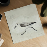 Sea Birds II by Kathrine Lovell. Shown as a detailed flat fine art print, highlighting archival giclee quality. Available as an archival giclee rolled canvas, fine art paper, or poster print. SKU 17050a.