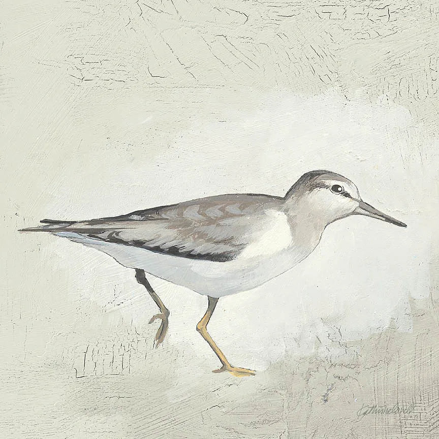 Sea Birds III by Kathrine Lovell. SKU 17051a. Archival Giclee Fine art print for wall decor.