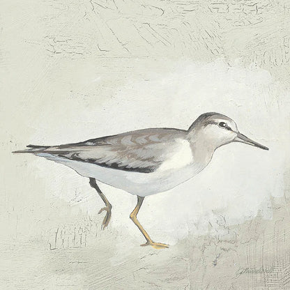 Sea Birds III by Kathrine Lovell. SKU 17051a. Archival Giclee Fine art print for wall decor.