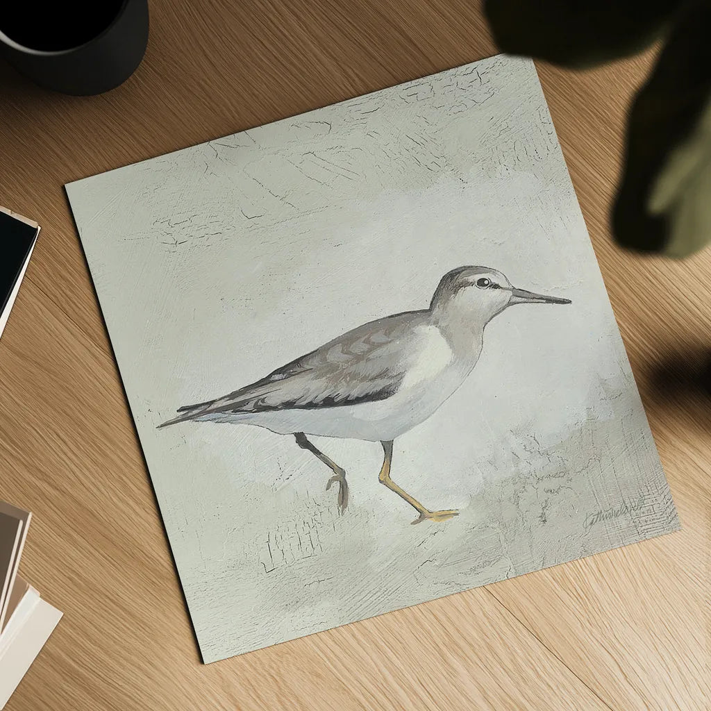 Sea Birds III by Kathrine Lovell. Shown as a detailed flat fine art print, highlighting archival giclee quality. Available as an archival giclee rolled canvas, fine art paper, or poster print. SKU 17051a.