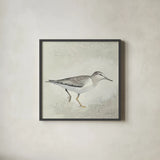 Sea Birds III by Kathrine Lovell. Shown in a sleek black glass frame for a contemporary gallery look. Available as an archival giclee rolled canvas, fine art paper, or poster print. SKU 17051a.
