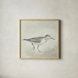 Sea Birds III by Kathrine Lovell. Shown in a natural wood glass frame for a timeless modern aesthetic. Available as an archival giclee rolled canvas, fine art paper, or poster print. SKU 17051a.
