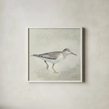 Sea Birds III by Kathrine Lovell. Shown in a crisp white glass frame for a clean and minimalist style. Available as an archival giclee rolled canvas, fine art paper, or poster print. SKU 17051a.