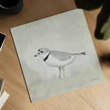 Sea Birds IV by Kathrine Lovell. Shown as a detailed flat fine art print, highlighting archival giclee quality. Available as an archival giclee rolled canvas, fine art paper, or poster print. SKU 17052a.