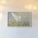 Snowy Egret in Flight v2 by Kathrine Lovell. shown as a paper print in a white frame. Available as a archival giclee rolled canvas, fine art paper, or poster print. SKU 42466i.