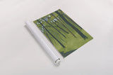 Spring Woods Dark Green by Kathrine Lovell. shown as a rolled paper print. Available as archival giclee rolled canvas, fine art paper, or poster print. SKU 41346h.