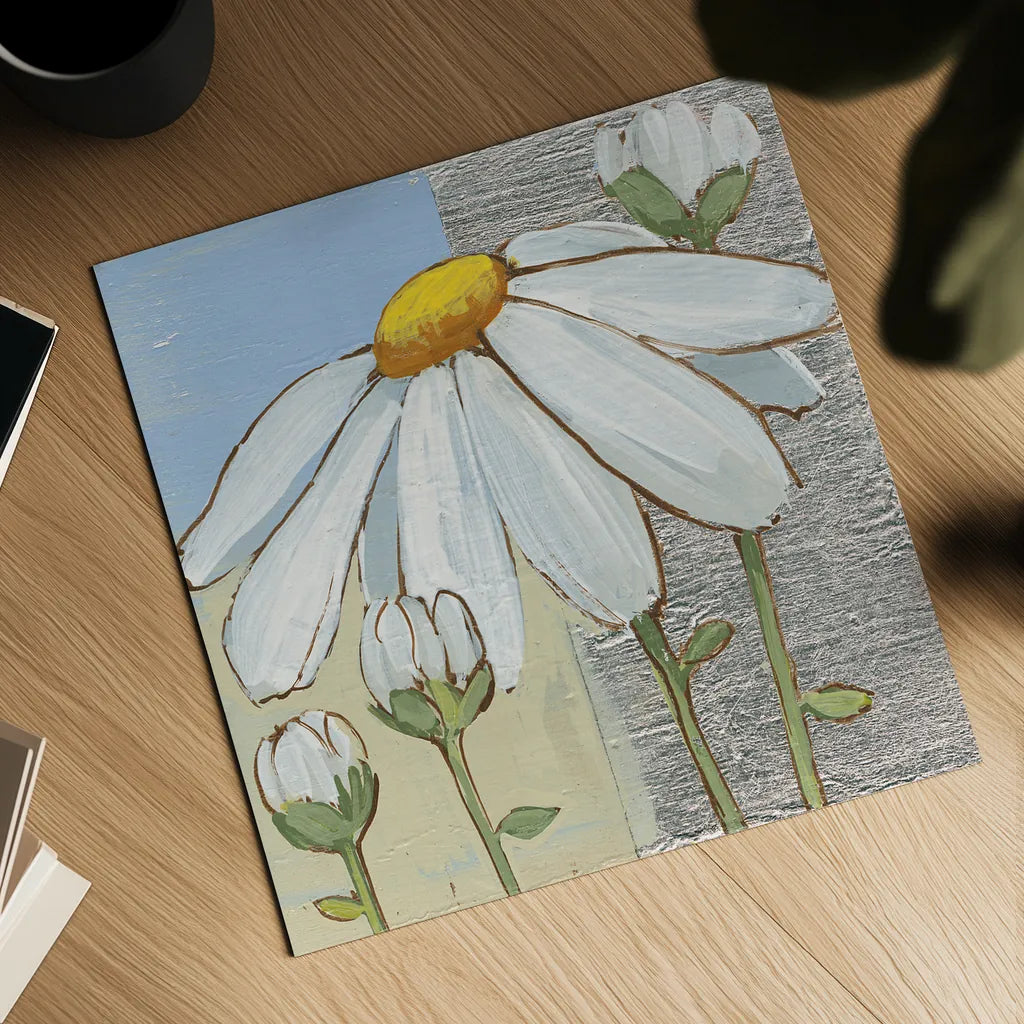 White Daisy Square II by Kathrine Lovell. Shown as a detailed flat fine art print, highlighting archival giclee quality. Available as an archival giclee rolled canvas, fine art paper, or poster print. SKU 43436a.