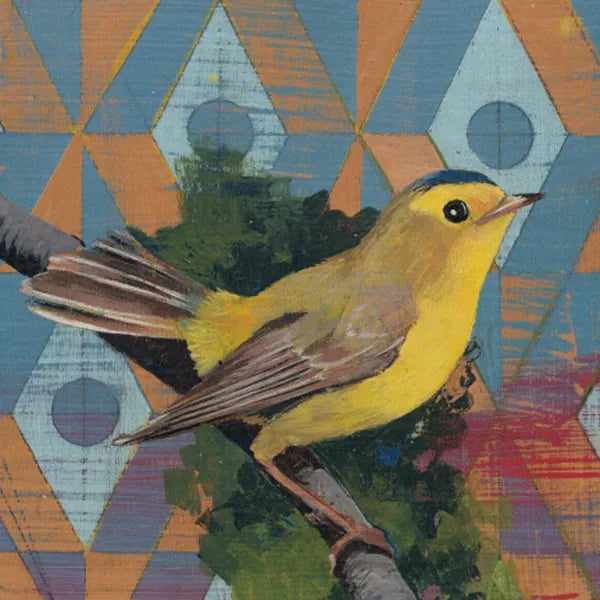 Wilson Warbler by Kathrine Lovell. SKU 43539a. Archival Giclee Fine art print for wall decor.