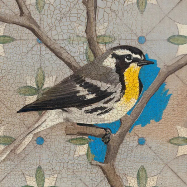 Yellow Thorated Warbler by Kathrine Lovell. SKU 43538a. Archival Giclee Fine art print for wall decor.