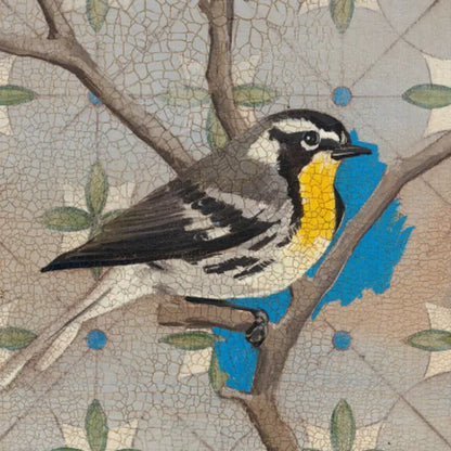 Yellow Thorated Warbler by Kathrine Lovell. SKU 43538a. Archival Giclee Fine art print for wall decor.