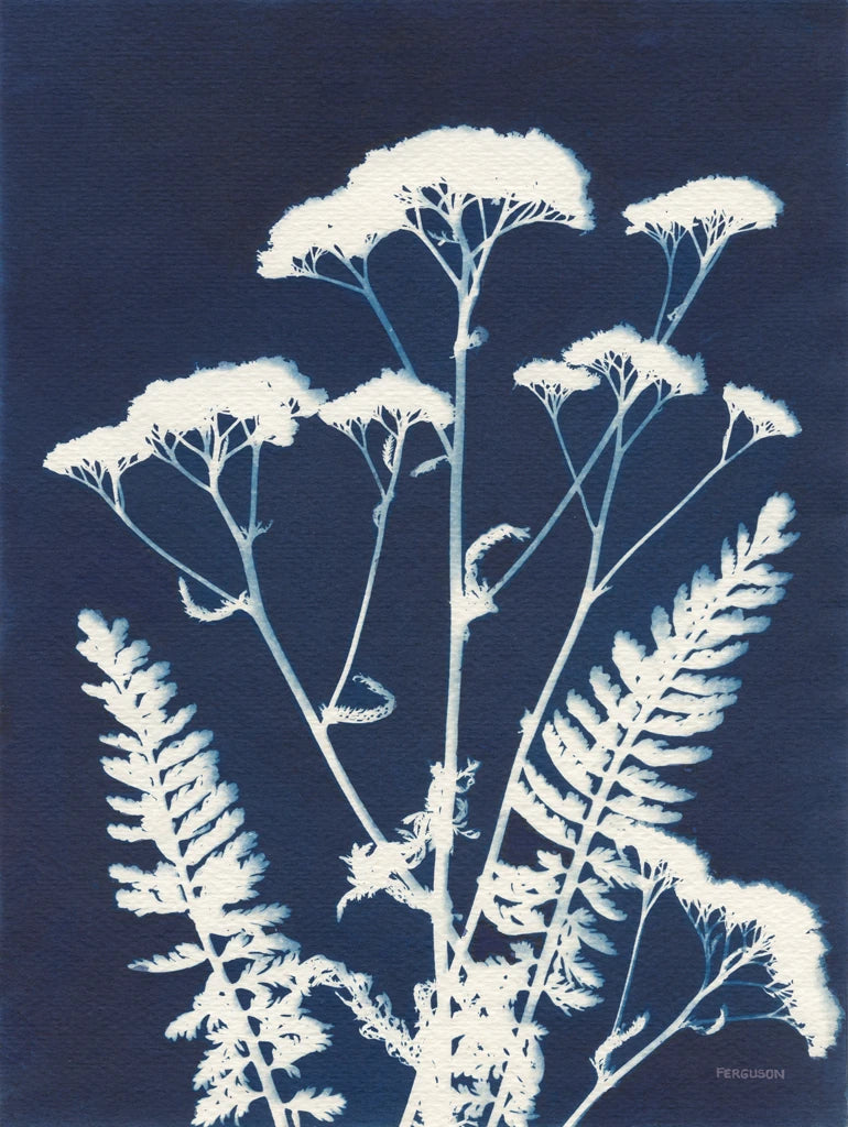 Alpine Flower I by Kathy Ferguson