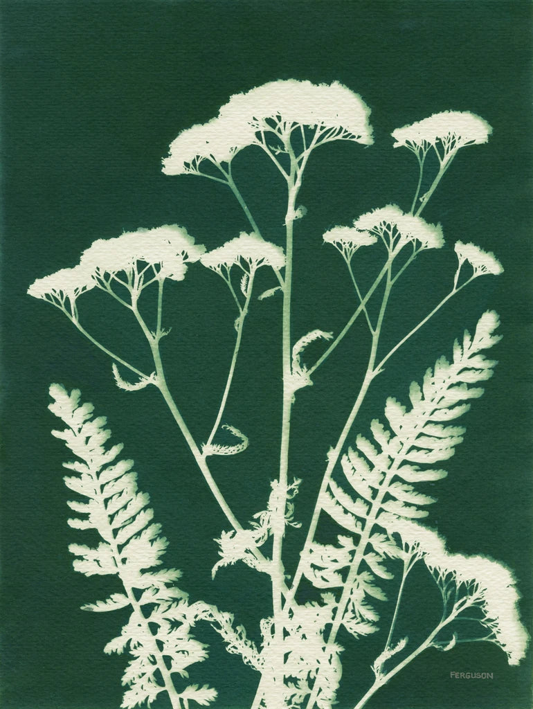 Alpine Flower I Green by Kathy Ferguson
