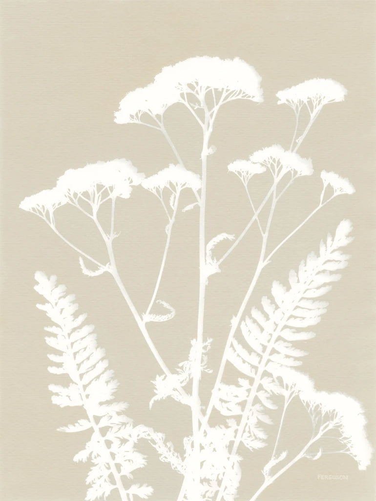 Alpine Flower I Neutral by Kathy Ferguson