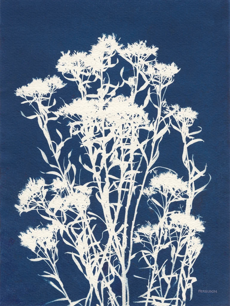Alpine Flower II by Kathy Ferguson