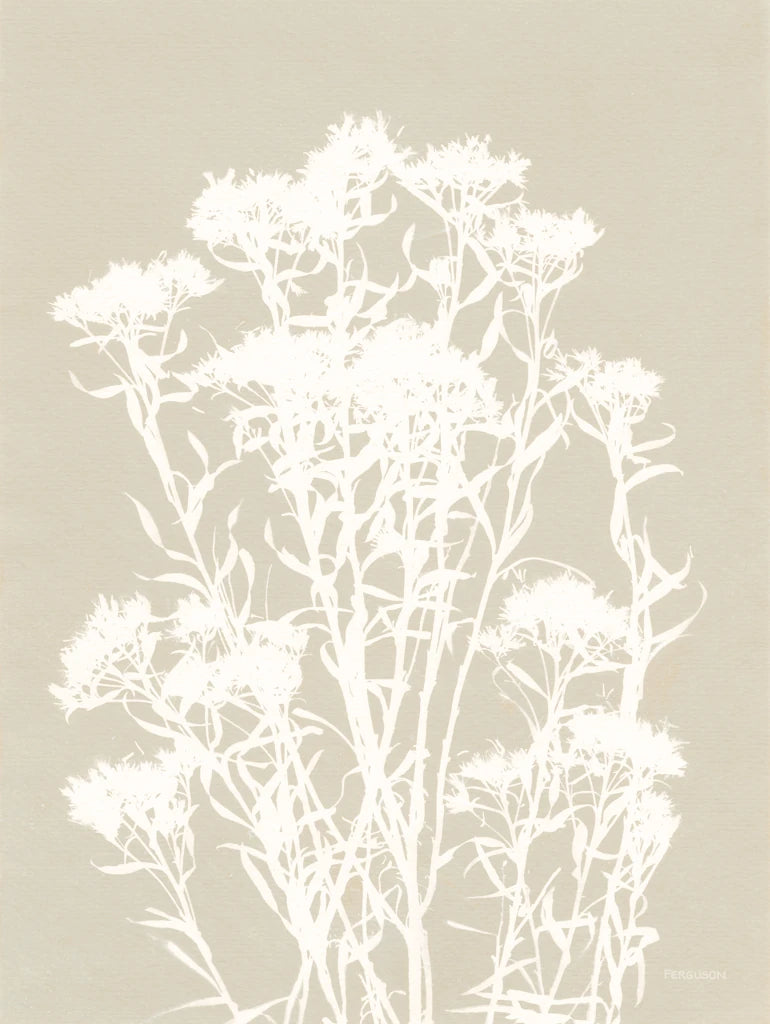 Alpine Flower II Neutral by Kathy Ferguson