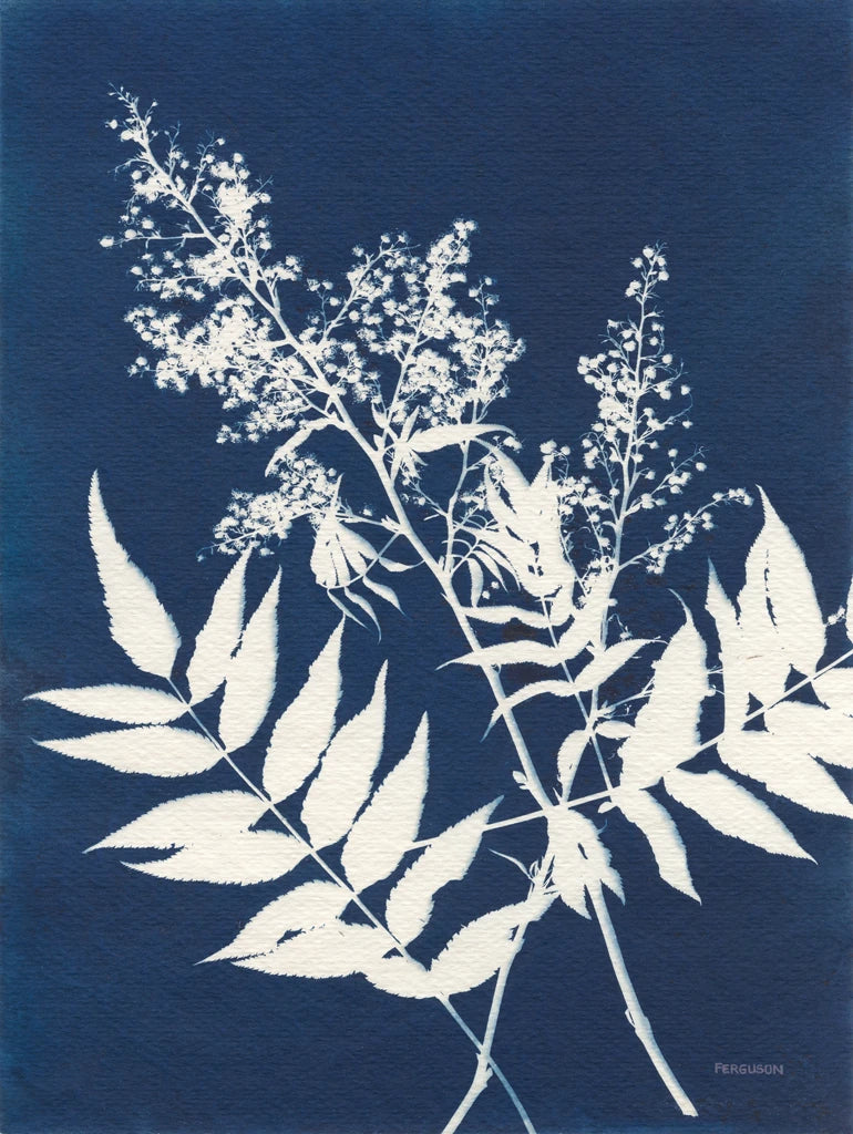 Alpine Flower III by Kathy Ferguson
