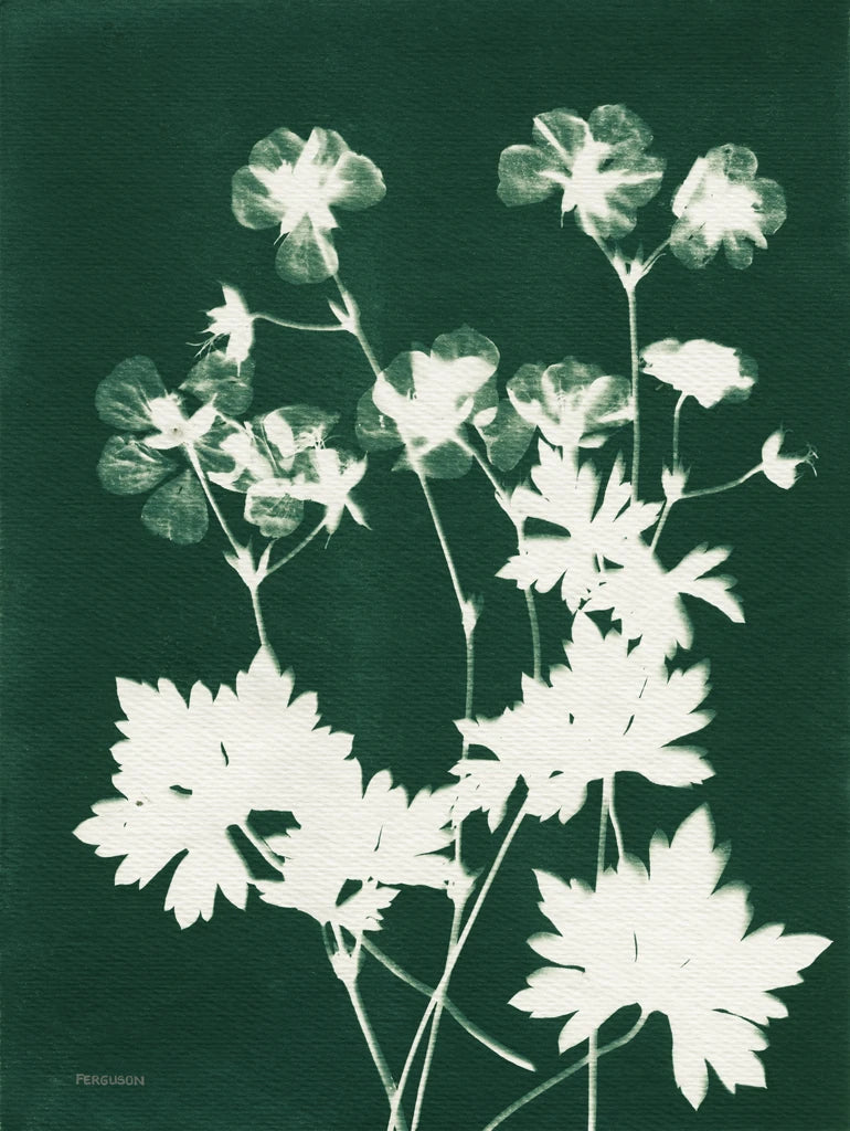 Alpine Flower V Green by Kathy Ferguson