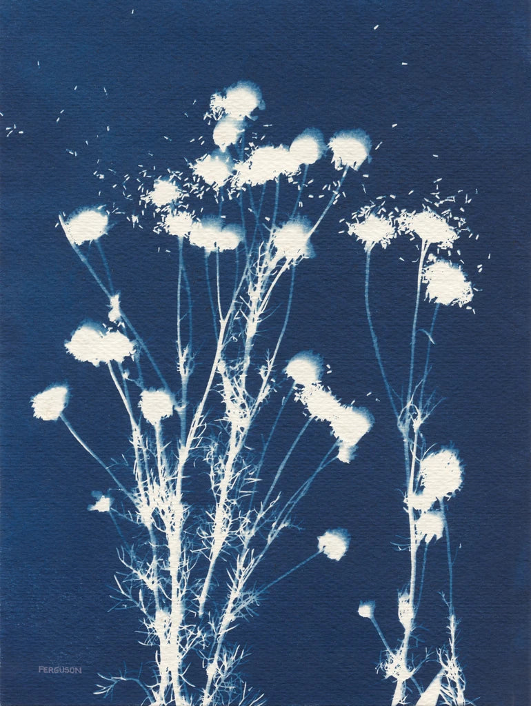 Alpine Flower VI by Kathy Ferguson