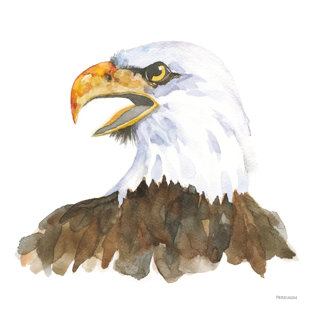 Bald Eagle by Kathy Ferguson. SKU 72097a. Archival Giclee Fine art print for wall decor.