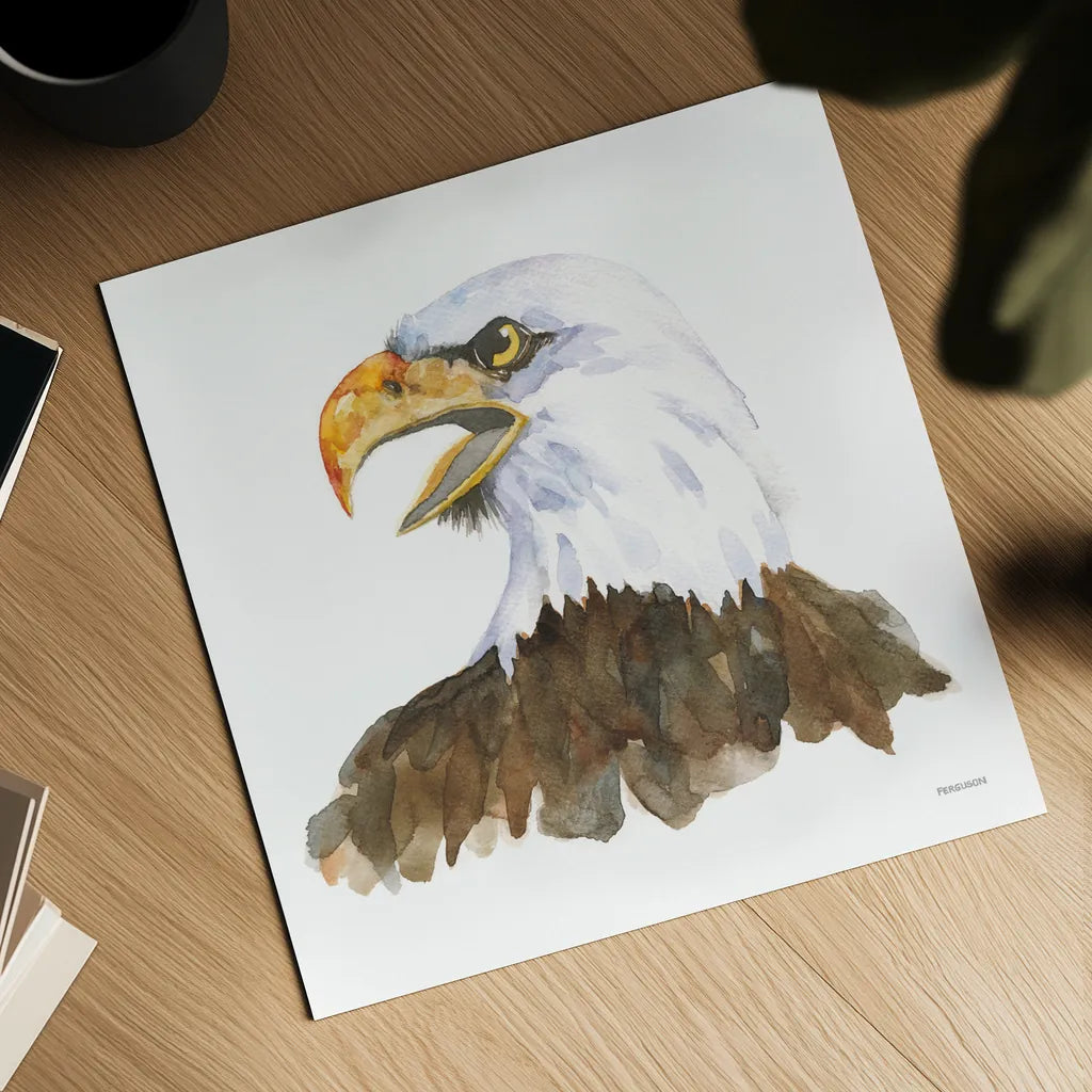 Bald Eagle by Kathy Ferguson. Shown as a detailed flat fine art print, highlighting archival giclee quality. Available as an archival giclee rolled canvas, fine art paper, or poster print. SKU 72097a.