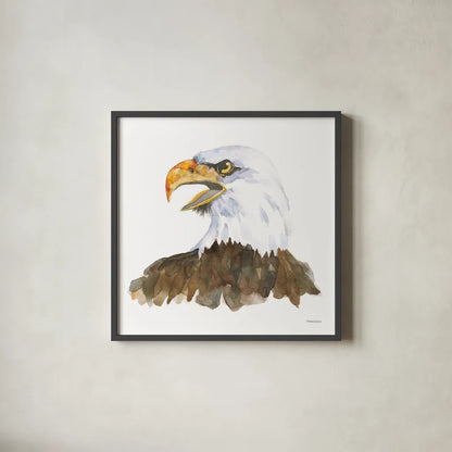 Bald Eagle by Kathy Ferguson. Shown in a sleek black glass frame for a contemporary gallery look. Available as an archival giclee rolled canvas, fine art paper, or poster print. SKU 72097a.