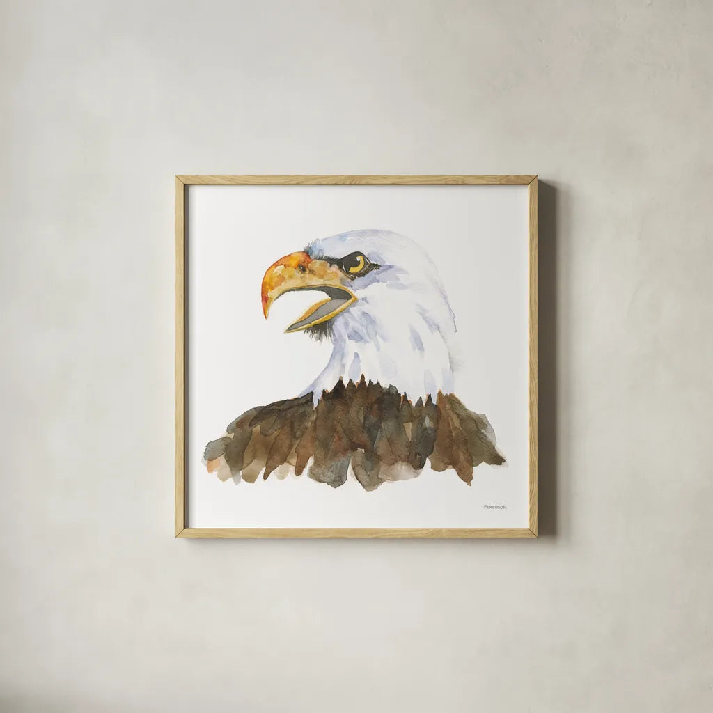 Bald Eagle by Kathy Ferguson. Shown in a natural wood glass frame for a timeless modern aesthetic. Available as an archival giclee rolled canvas, fine art paper, or poster print. SKU 72097a.