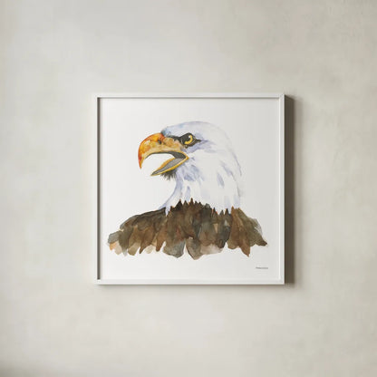 Bald Eagle by Kathy Ferguson. Shown in a crisp white glass frame for a clean and minimalist style. Available as an archival giclee rolled canvas, fine art paper, or poster print. SKU 72097a.