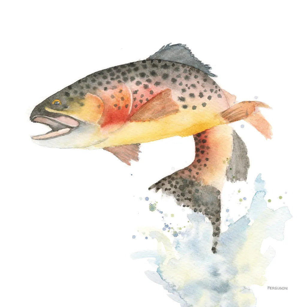 Cutthroat Trout by Kathy Ferguson. SKU 72098a. Archival Giclee Fine art print for wall decor.