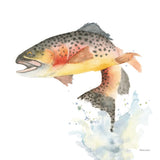 Cutthroat Trout by Kathy Ferguson. SKU 72098a. Archival Giclee Fine art print for wall decor.