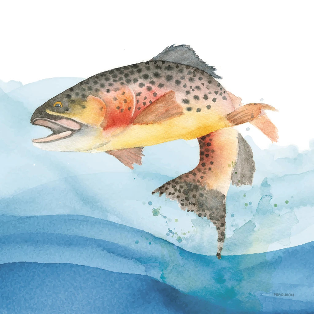 Cutthroat Trout v2 by Kathy Ferguson