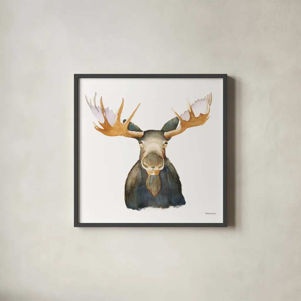 Moose by Kathy Ferguson. Shown in a sleek black glass frame for a contemporary gallery look. Available as an archival giclee rolled canvas, fine art paper, or poster print. SKU 72099a.