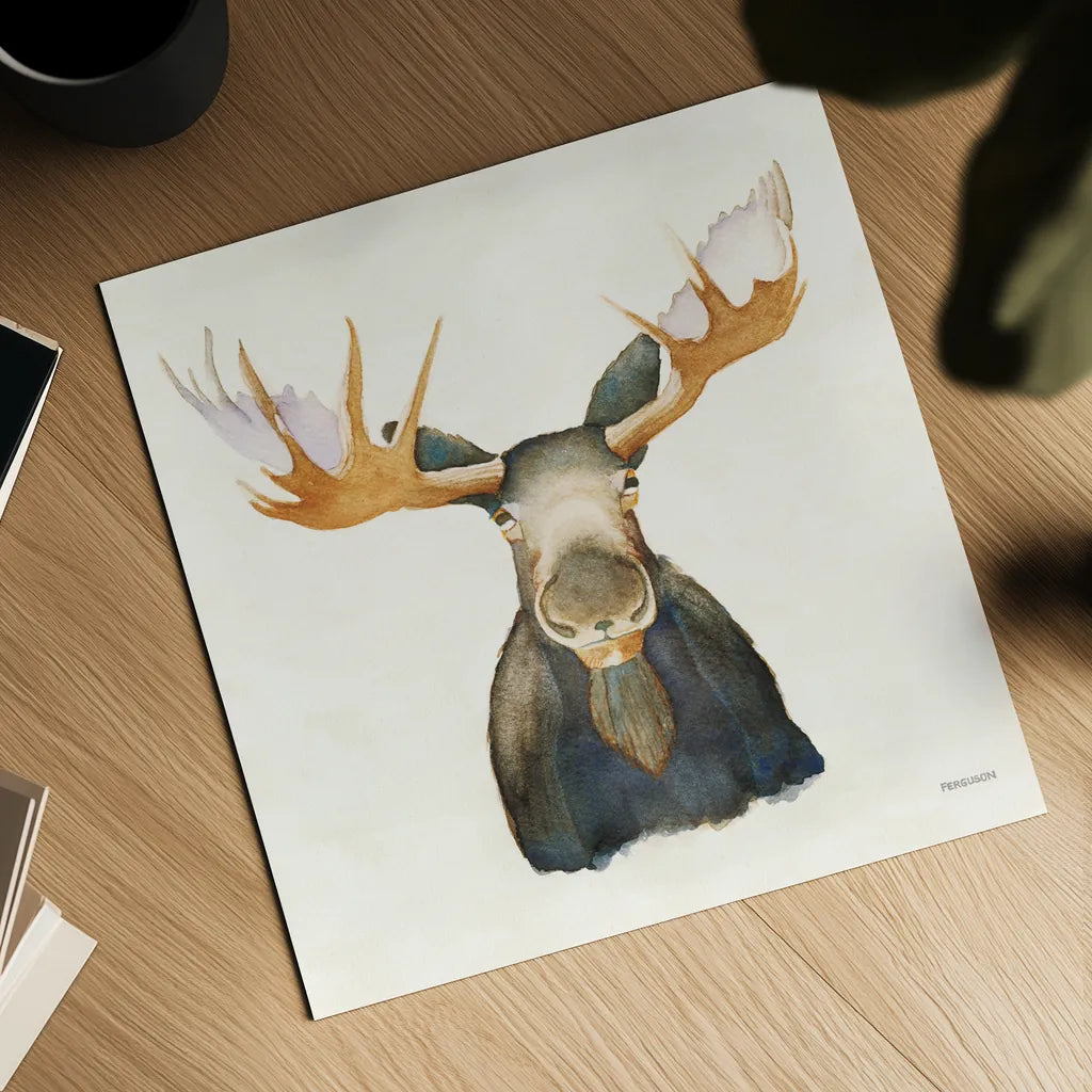 Moose on Cream by Kathy Ferguson. Shown as a detailed flat fine art print, highlighting archival giclee quality. Available as an archival giclee rolled canvas, fine art paper, or poster print. SKU 75531a.