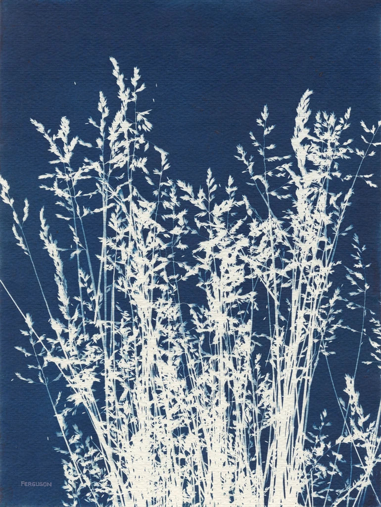 Ornamental Grass I by Kathy Ferguson