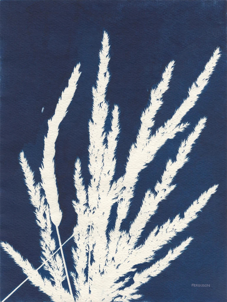 Ornamental Grass II by Kathy Ferguson