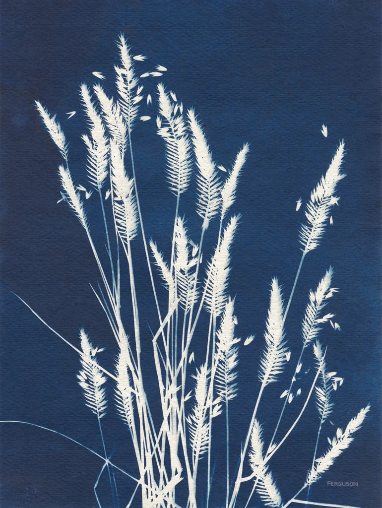 Ornamental Grass III by Kathy Ferguson