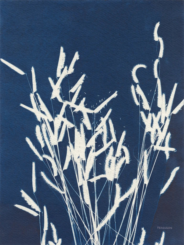 Ornamental Grass IV by Kathy Ferguson